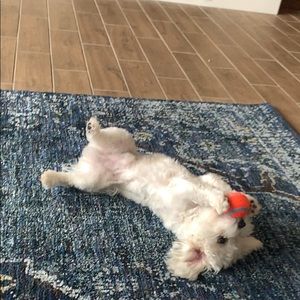 Meet your Posher, Amina